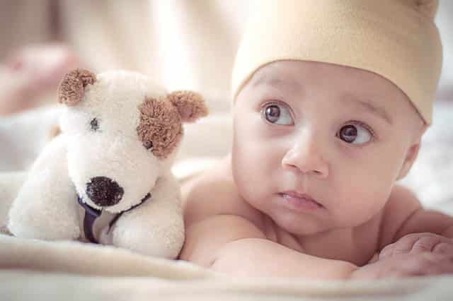 infant with dog toy - Buckeye Pediatric Dentistry in Reynoldsburg